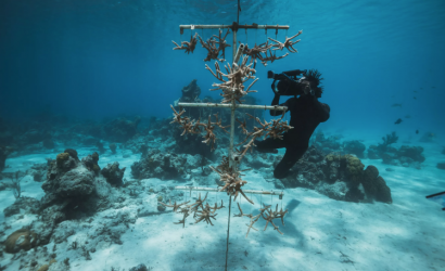 Rosewood Hotel Group Affirms Its Commitment To Supporting Both People And Planet