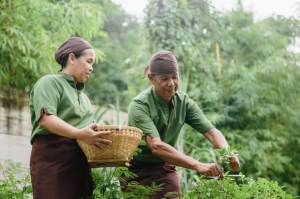 Rosewood Hotel Group Unveils The Impact Trailblazers