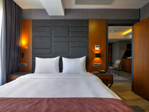Radisson Hotel Group expands its presence in Turkey with the opening of its first hotel in Eskisehir