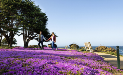 Renew, Refresh, Revive in Monterey This Spring at Inns of Monterey