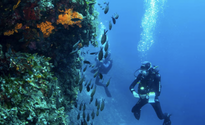 Dive Into Untouched Beauty and Discover the Marine Magic of Alonnisos at Marpunta Resort