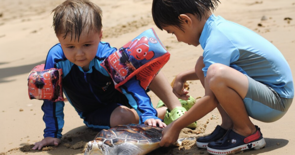 Anantara Hotels and Resorts Lends Nature a Helping Hand with Annual Turtle and Bamboo Shark Release