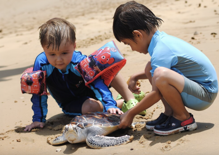 Anantara Hotels and Resorts Lends Nature a Helping Hand with Annual Turtle and Bamboo Shark Release