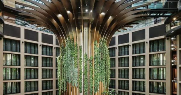 Radisson Hotel Group and Amadeus launch direct API connectivity to modernize hotel distribution