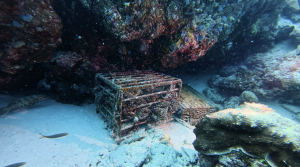 NH Collection Maldives Reethi Reveals the World’s First Certified Underwater Aged Rum by a Resort