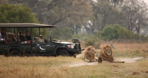 andBeyond Sandibe Under Canvas and andBeyond Nxabega Under Canvas, Botswana - opening this month