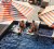 Hilton Launches 2026 Global Booking Incentive to Celebrate Travel Advisor Appreciation Month