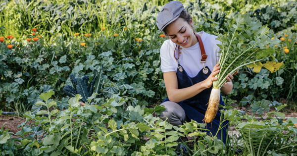 Six Senses Joins the UNEP and UN Tourism “Recipe of Change”