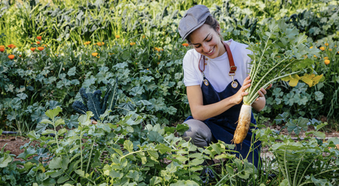 Six Senses Joins the UNEP and UN Tourism “Recipe of Change”