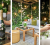 Experience the new Perrier-Jouët Champagne Terrace and Arts Afternoon Tea at The Hari, Belgravia