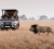 Wilderness Shumba and Busanga Bush Camp Reopen For 2026 Safari Season In Kafue