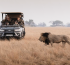 Wilderness Shumba and Busanga Bush Camp Reopen For 2026 Safari Season In Kafue