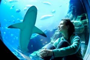 Atlantis, Dubai prepares for Shark Week
