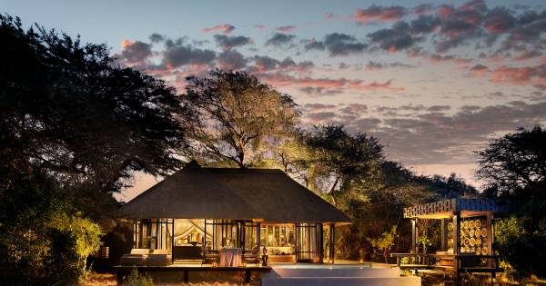 Safari comes naturally at the reopened andBeyond Phinda Vlei Lodge