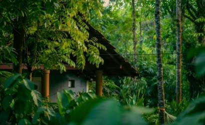Best Time to Visit Coorg: Monsoon Magic vs. Summer Escapes in Forest Sanctuaries