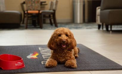 Baymont Hotels Celebrate National Dog Day, today August 26th