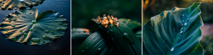 Corinthia London Unveils Biome: A New Era of Primal Luxury and Transformative Wellbeing