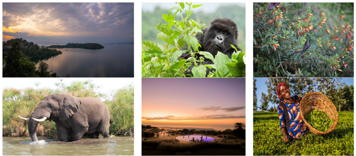The Lux Collective Celebrates the Launch of LUX* Lake Kivu &amp; SALT of Akagera in Rwanda
