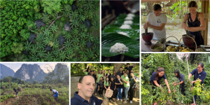 Southern Thai Ecolodge Wins Acclaim for ‘Regenerative Tourism’ in Asian Awards