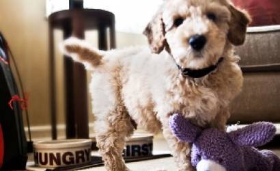A Dog’s Delight: Jumeirah Essex House Announces Exclusive “Canine Turndown Program”