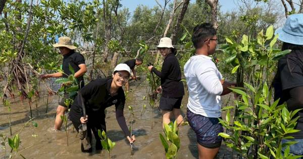 Our Power, Our Planet: How Marriott is Helping Nature Thrive