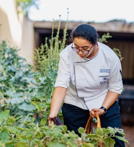 Hilton Ras Al Khaimah Beach Resort introduces an organic garden