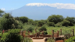 Tourvest Launches Tulia to Open Up East African Safari Travel to a Wider Market