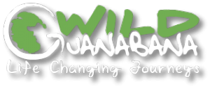 Travel company Wild Guanabana launches in GCC