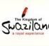Swaziland gets international representation