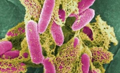 German tourism unaffected by E.coli outbreak