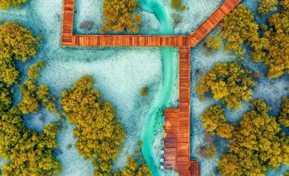 Etihad Mangrove Forest project launches in Abu Dhabi