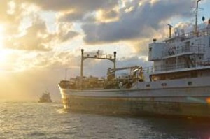 Greater Fort Lauderdale welcomes latest diving wreck