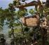 Treepod dining experience at Soneva Kiri