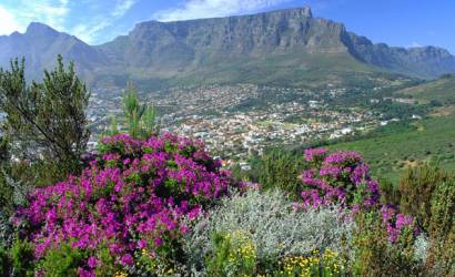 Good value packages drive more tourism for loeries and creative month in Cape Town