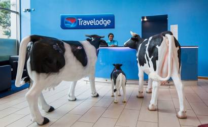 Milton Keynes welcomes new herd of cows