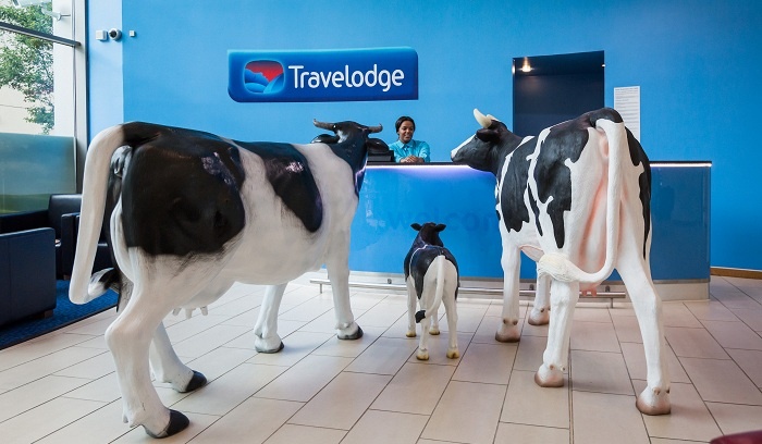 Milton Keynes welcomes new herd of cows