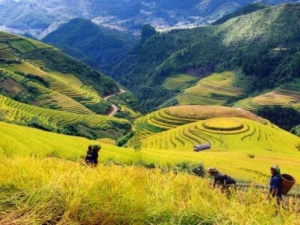 Vietman launches National Tourism Year 2011