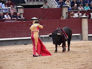 Spanish move to ‘protect’ bullfighting is disastrous for tourism industry