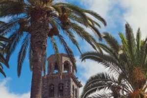 More Than 20 Universities from Around the World Will Participate in the Tenerife Global Summit 2024