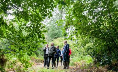 The National Forest Walking Festival Celebrates Its 16th Year of Exploration