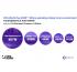 FIFA World Cup 2026: Analysis projects $556M in event-related spending across U.S. host cities