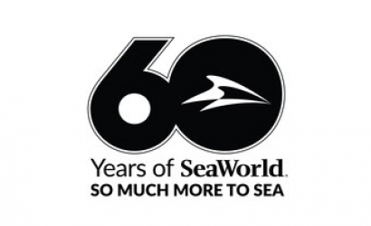 SeaWorld Launches 60th Anniversary Celebrations and Unveils “There’s So Much More to Sea”