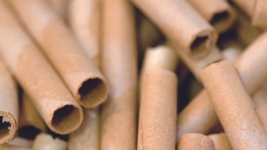 Catalonia to Host an International Congress on Regenerative Ecotourism