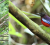 Tourism Malaysia Takes Flight at Global BirdFair 2026