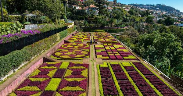 Madeira to stage World Travel Awards Grand Final 2024 Breaking Travel News