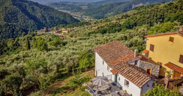 Brand New Dog Friendly Romantic Retreat on a Hillside in Tuscany