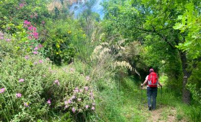 NEW Walking Holiday in Cilento National Park from On Foot Holidays