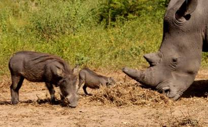 Top Tours & Wildlife Encounters