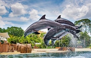 Play Celebrity for a Day at SeaWorld this Summer with the “Ultimate VIP Tour