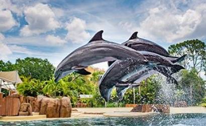 Play Celebrity for a Day at SeaWorld this Summer with the “Ultimate VIP Tour